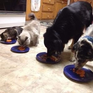 Meet your Posher, Tracy